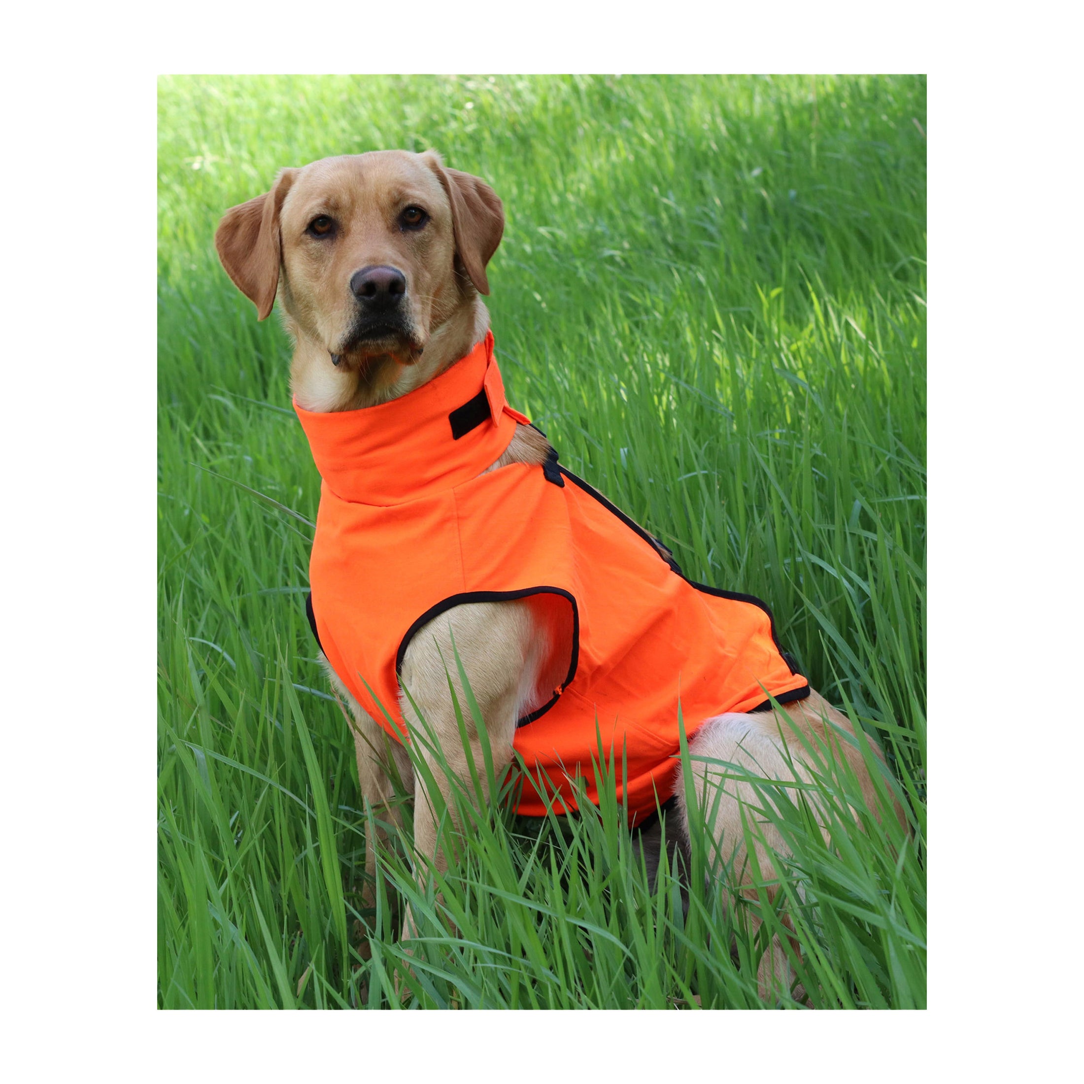 gamehide ElimiTick Dog Vest (blaze orange)